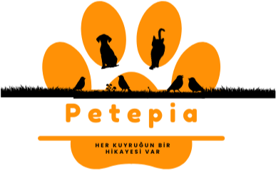Petepia